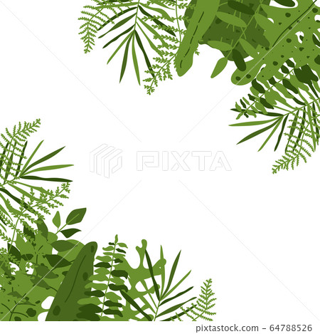 Tropical leaf square frame banner closeup vector Tropical leaf square frame banner closeup vector 64788526