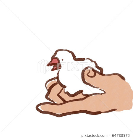 Hand riding sparrow 64788573