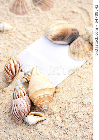 Blank paper beach sand starfish shells summer 64789342