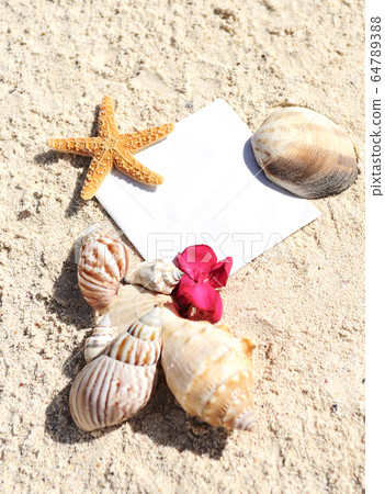 Blank paper beach sand starfish shells summer Blank paper beach sand starfish shells summer 64789388