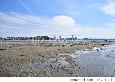 Sea hunting Hakata Bay, Higashi-ku, Fukuoka City 64791441