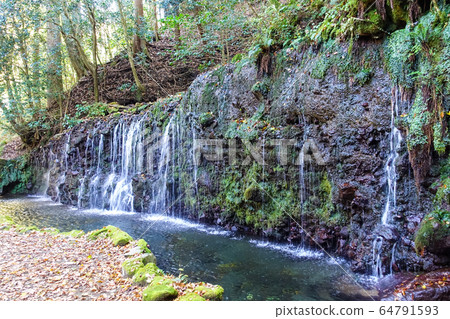 Autumn Hakone Chijonotaki moss Autumn Hakone Chijonotaki moss 64791593