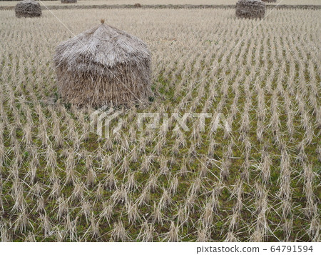 Rural scenery in Kanagawa Prefecture: winter rice fields and rice straw Rural scenery in Kanagawa Prefecture: winter rice fields and rice straw 64791594