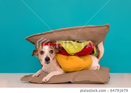 a hamburger that looks like a dog
