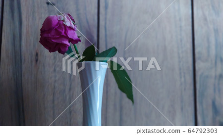 花瓶裡有一朵枯萎的玫瑰① 64792303