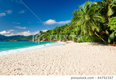 Beautiful Anse Soleil beach with palm tree at Beautiful Anse Soleil beach with palm tree at 64792387