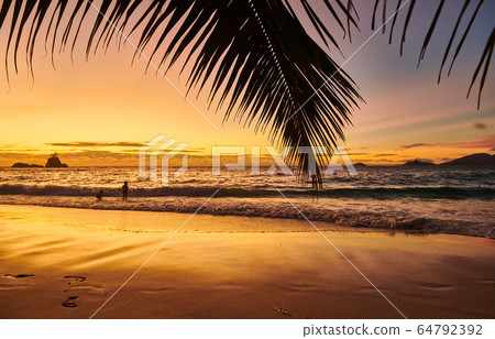 Beautiful sunset at Seychelles beach Beautiful sunset at Seychelles beach 64792392