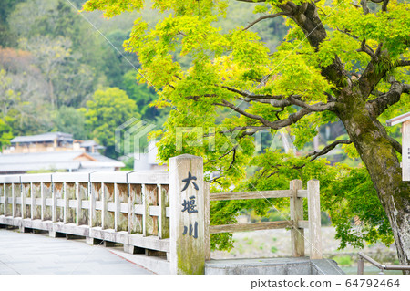 Togeteen bridge of fresh green 64792464