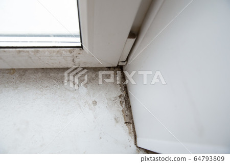 mold in the corner of the window mold in the corner of the window 64793809