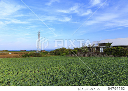 場(春天) 場(春天) 64796262