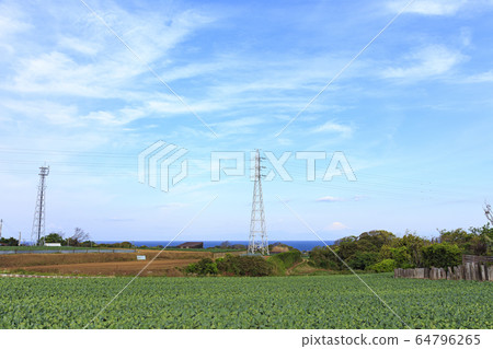 場（春天） 64796265