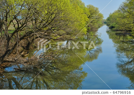 Fresh green Watarase Reservoir and small boat 64796916