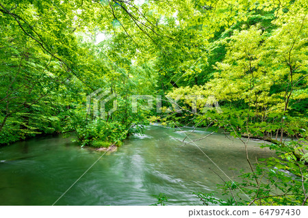 青森縣十和田市奧入瀨山流 64797430