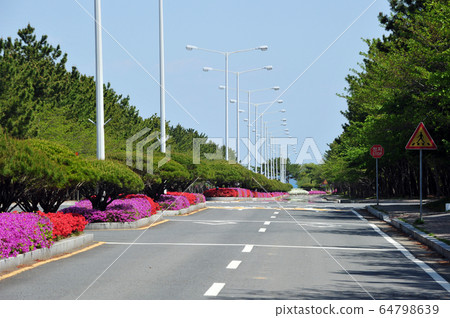 道正中花床花 64798639