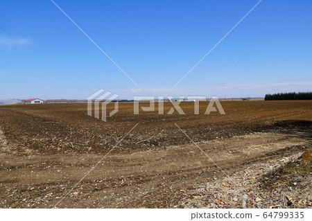 Potato field just cultivated 64799335