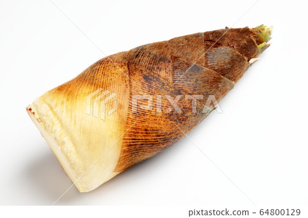 Bamboo shoots Bamboo shoots 64800129