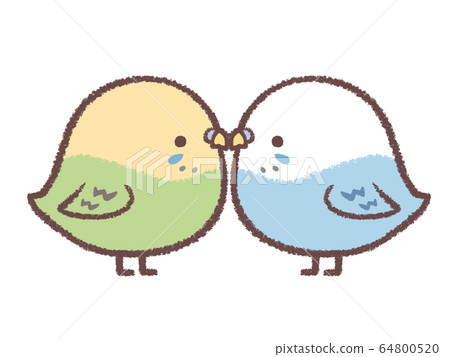 虎皮鸚鵡夫婦 64800520