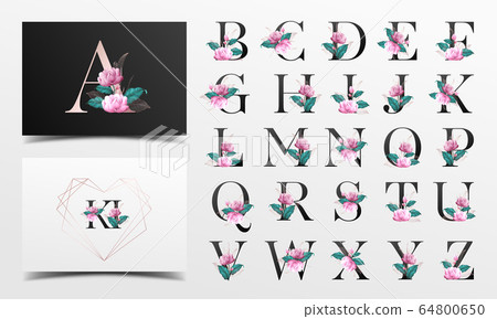 Alphabet letter collection Alphabet letter collection 64800650