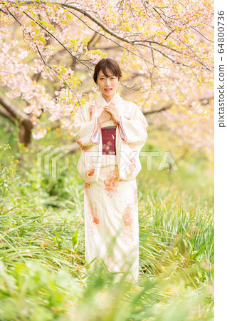 一個穿和服的女人 64800736