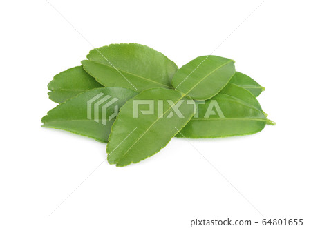 Green leaf, Bergamot Leaf (kaffir lime) isolated on white background Green leaf, Bergamot Leaf (kaffir lime) isolated on white background 64801655