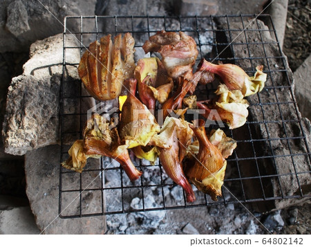 outdoor wood grill stove in primitive style home kitchen in rural vintage cottage house authentic shot in countryside house outdoor wood grill stove in primitive style home kitchen in rural vintage cottage house authentic shot in countryside house 64802142