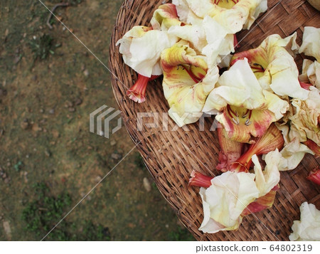 fresh tropical flowers as vegetable prepared for cooking in beautiful hand crafted utensils crop closeup fresh tropical flowers as vegetable prepared for cooking in beautiful hand crafted utensils crop closeup 64802319
