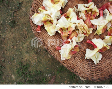 fresh tropical flowers as vegetable prepared for cooking in beautiful hand crafted utensils crop closeup fresh tropical flowers as vegetable prepared for cooking in beautiful hand crafted utensils crop closeup 64802320