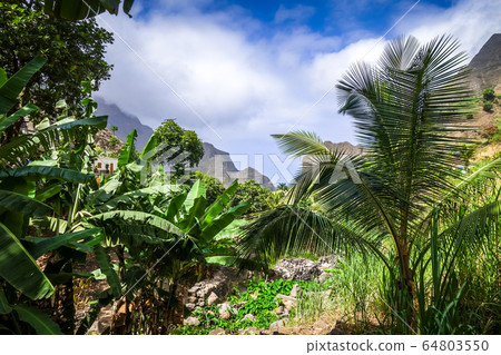 Paul Valley landscape in Santo Antao island, Cape Paul Valley landscape in Santo Antao island, Cape 64803550