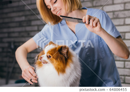 careful groomer neatly handle with pet careful groomer neatly handle with pet 64806455
