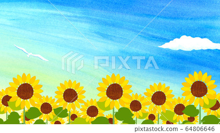 Sunflower field - Stock Illustration [64806646] - PIXTA