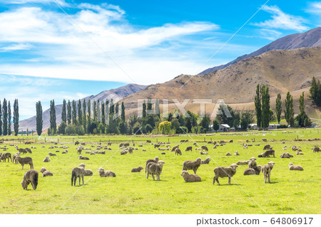 Queenstown in New Zealand. The city of adventure and nature. 64806917