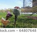 COVID-19 NYC Central Park Temporary Hospital 64807648