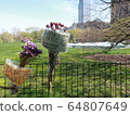 COVID-19 NYC Central Park Temporary Hospital 64807649