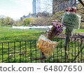 COVID-19 NYC Central Park Temporary Hospital 64807650