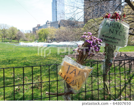 COVID-19 NYC Central Park Temporary Hospital 64807650