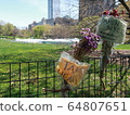 COVID-19 NYC Central Park Temporary Hospital 64807651