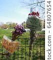 COVID-19 NYC Central Park Temporary Hospital 64807654