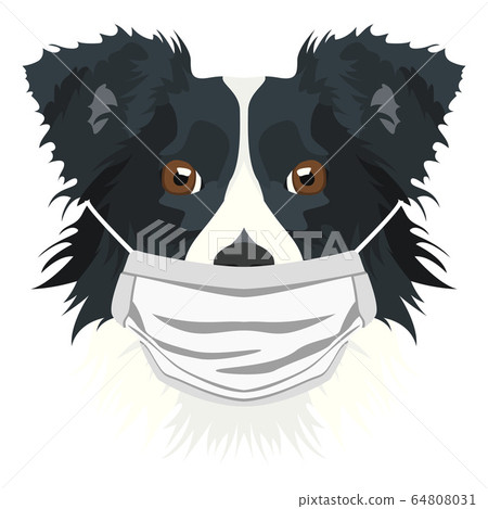 Illustration Dog border collie with respirator 64808031