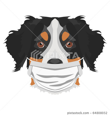 Illustration Bernese Mountain Dog dog with 64808032