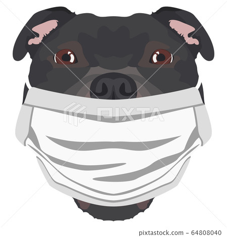Illustration dog Staffordshire Bullterier with 64808040