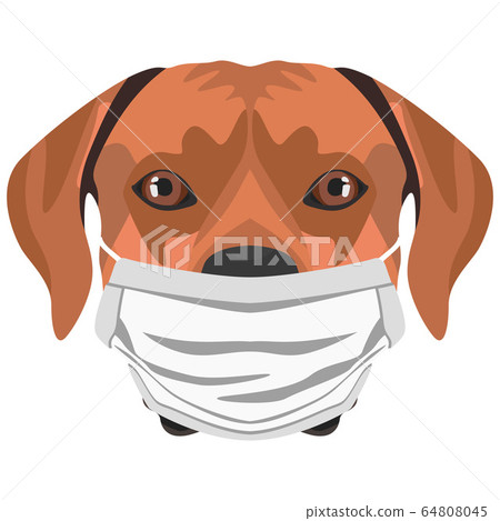 Illustration Rhodesian Ridgeback dog with 64808045
