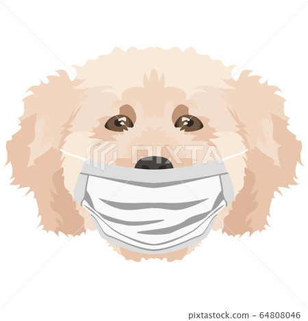 Illustration Dog poodle with respirator 64808046