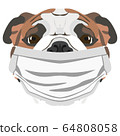 Illustration dog English bulldog with respirator 64808058