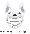 Illustration Dog Bull Terrier with Respirator 64808064