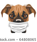 Illustration Dog boxer with respirator 64808065