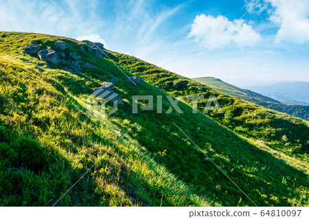 beautiful summer landscape in mountains. green beautiful summer landscape in mountains. green 64810097