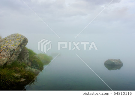 fog on the lake. grassy shore with rocks. overcast 64810116