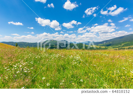 summer scenery of mountainous countryside. alpine 64810152