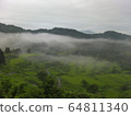 morning haze 64811340