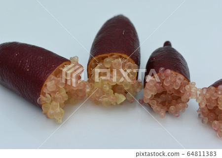 Finger Lime Finger Lime 64811383